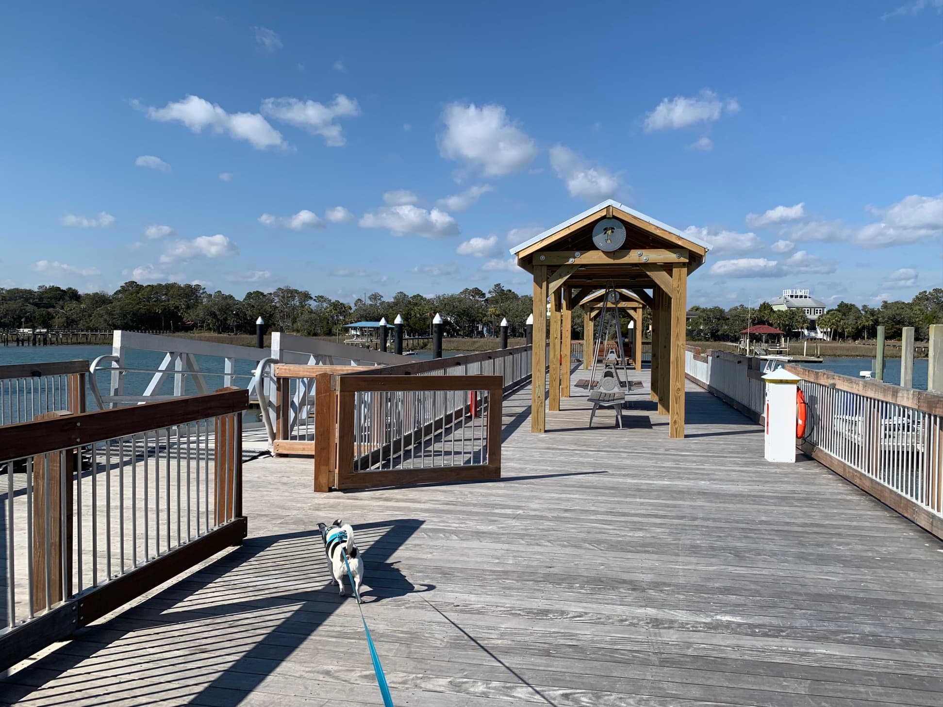 IOP new public dock