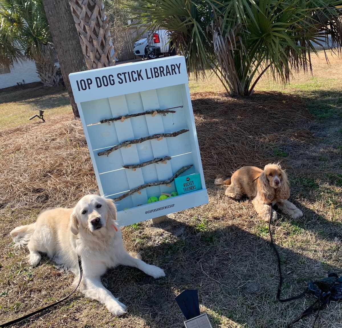 isle of palms dog stick library