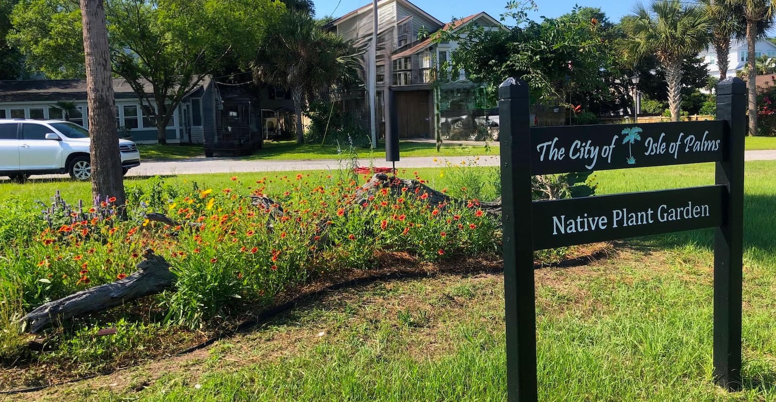 native plant garden