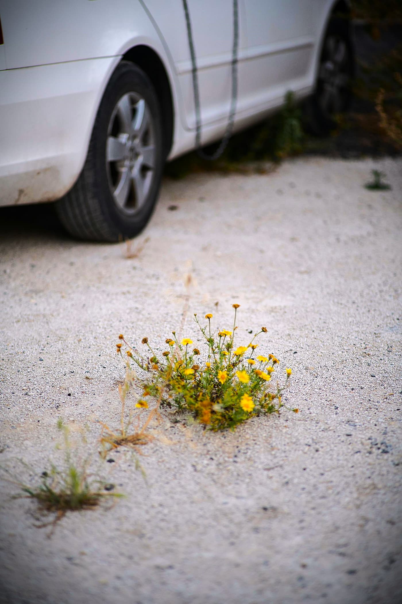 parking near sand